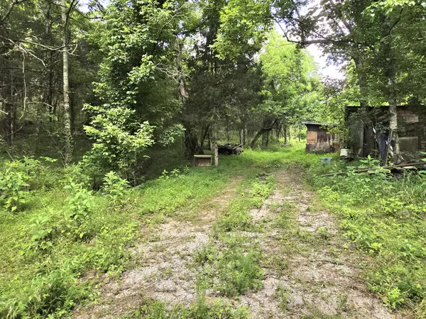 441 Pumpkin Hollow Rd, Liberty, TN 37095