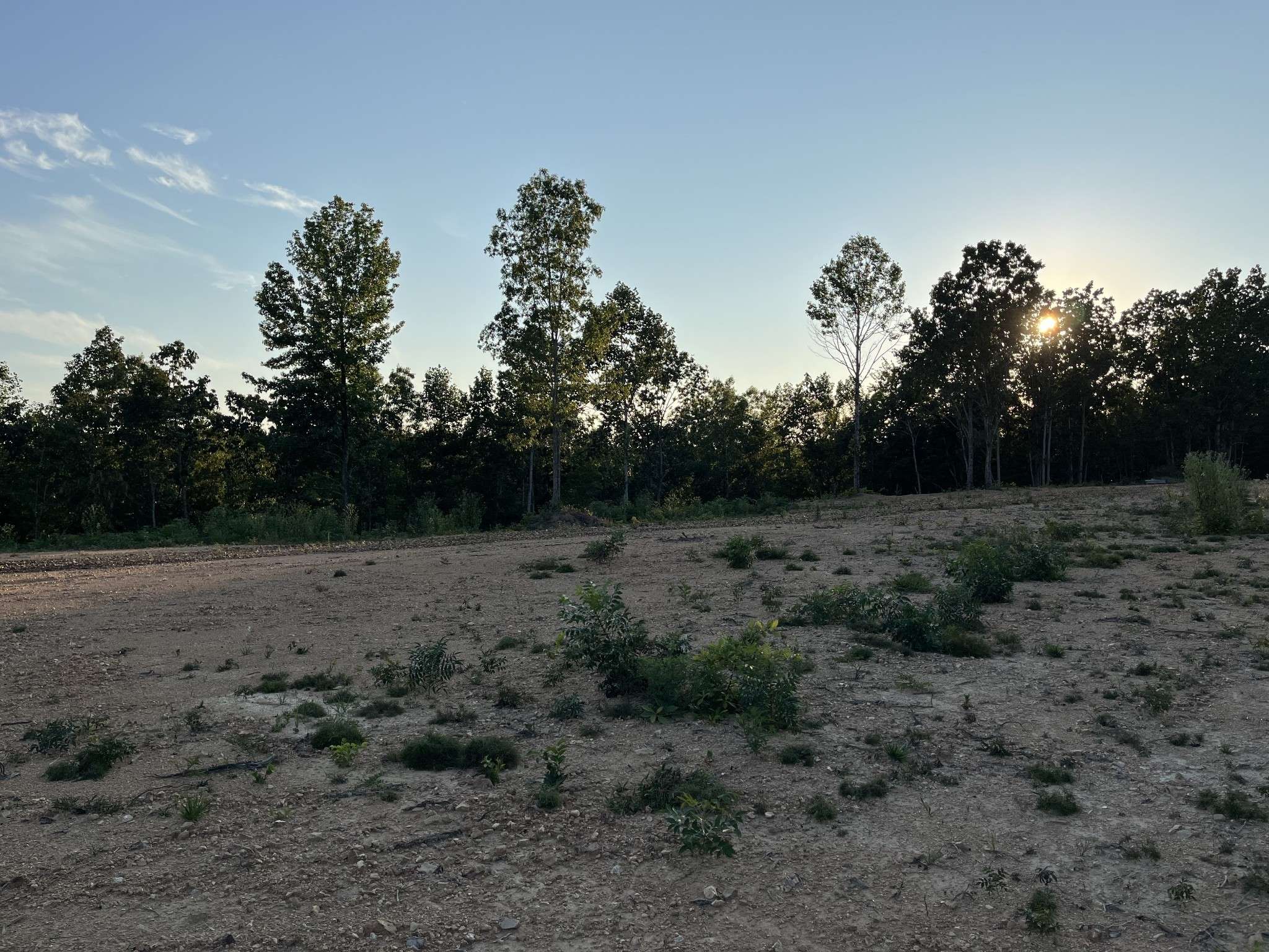 Linden, TN 37096,481 Hillbrook Dr