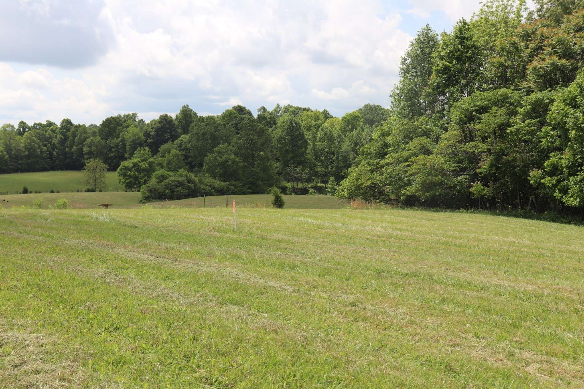 0 Sadlers Chapel Road, Lafayette, TN 37083