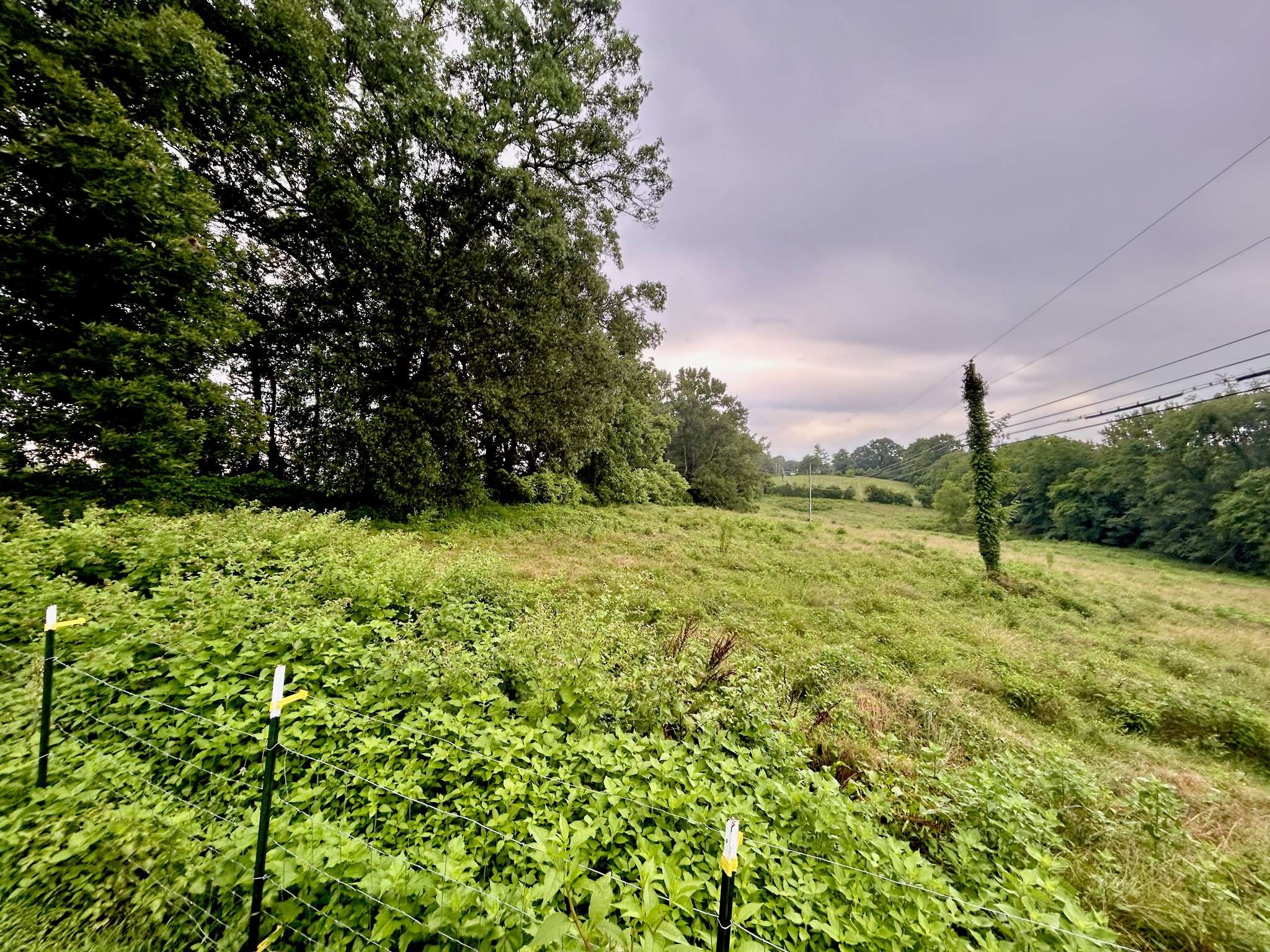 1 Lake Logan Rd, Ardmore, TN 38449