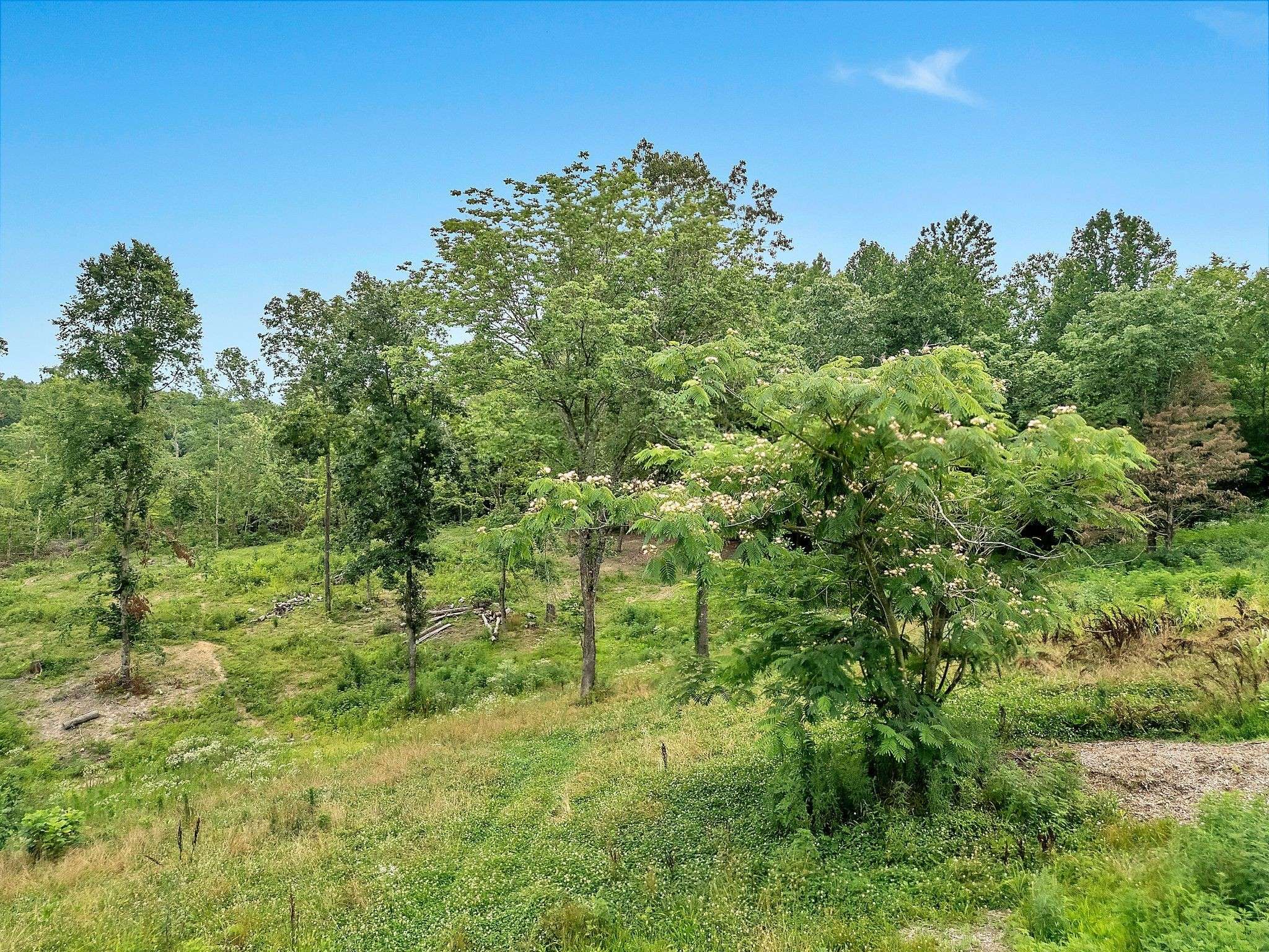 Charlotte, TN 37036,0 Red Oak Road