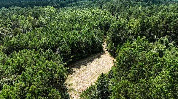 Ramer, TN 38367,0 Guys Chewalla Rd