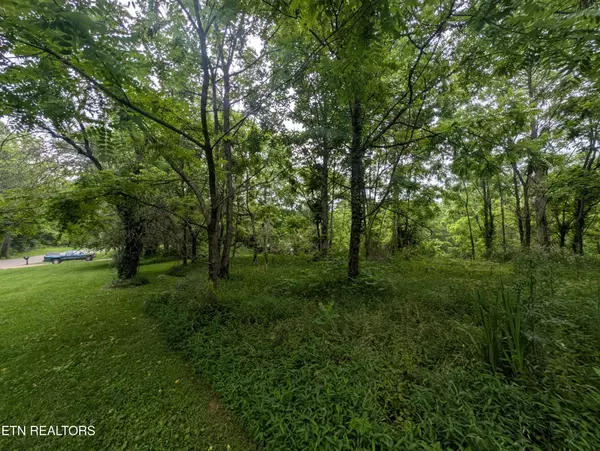 Allardt, TN 38504,0 Mt Helen Rd