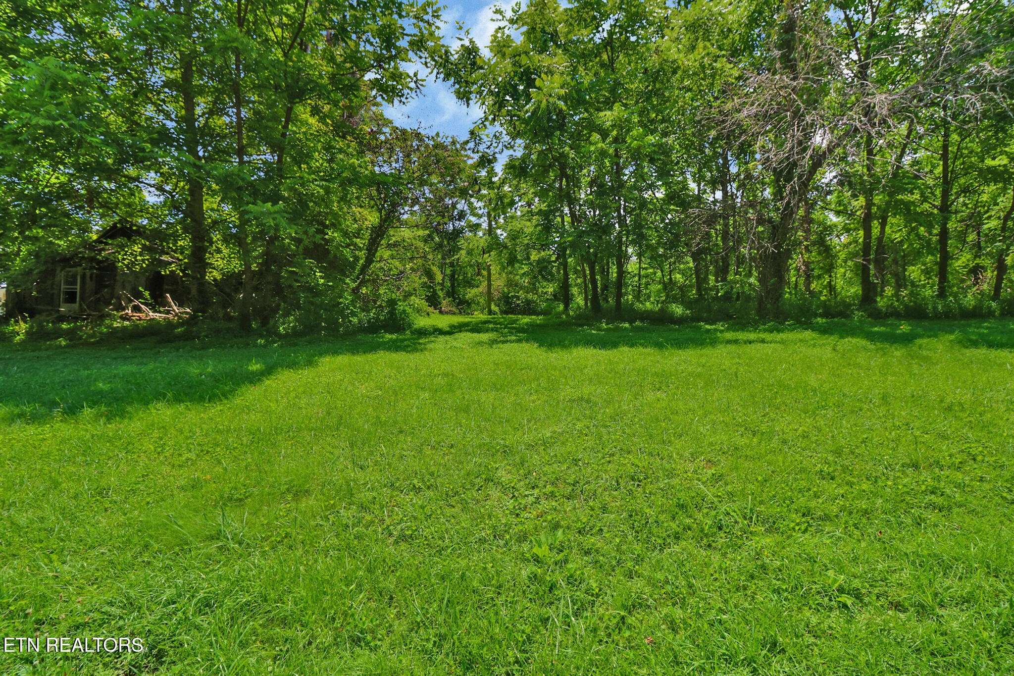0 Mt Helen Rd, Allardt, TN 38504