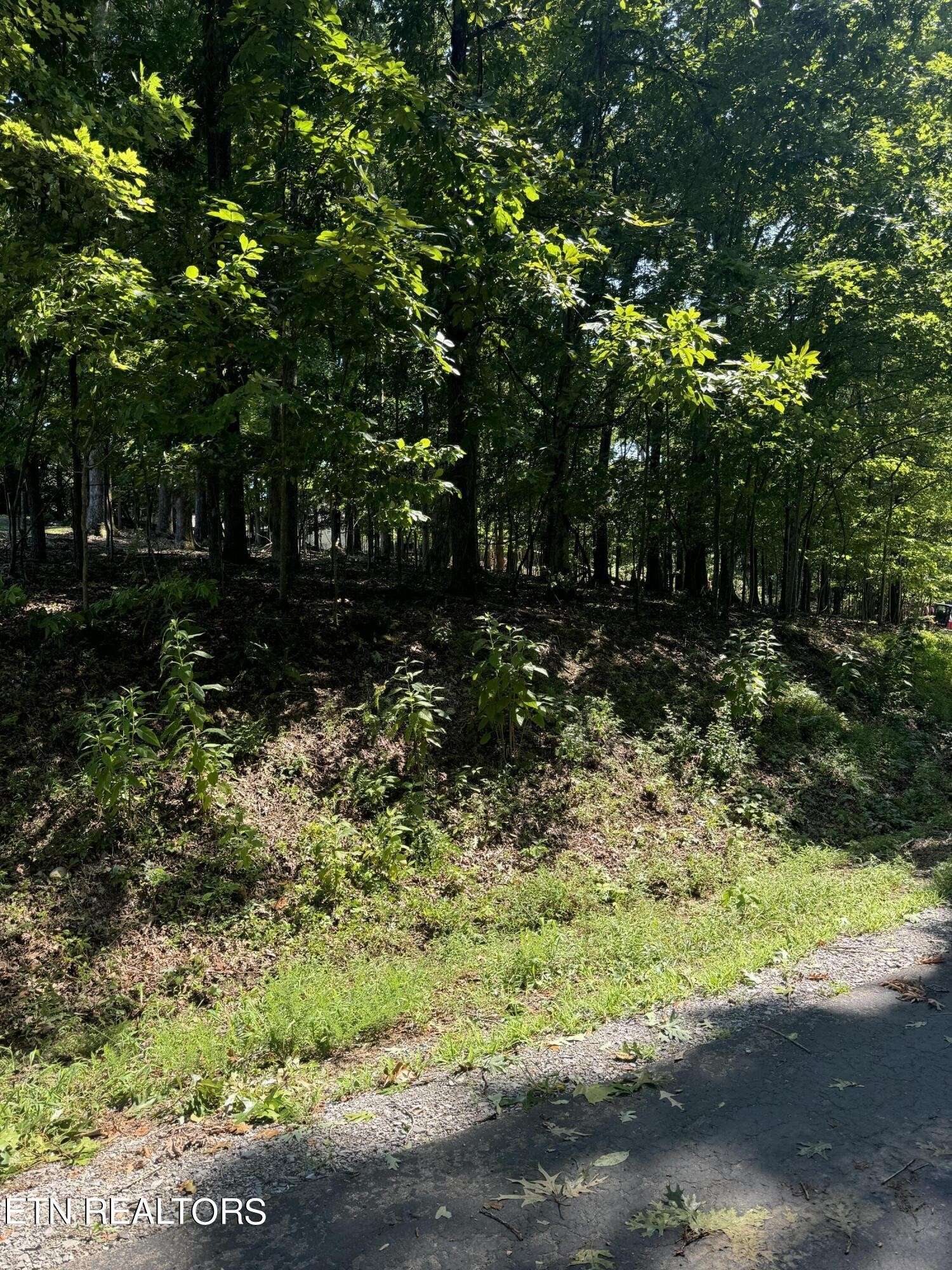 Loudon, TN 37774,227 Chahyga Circle