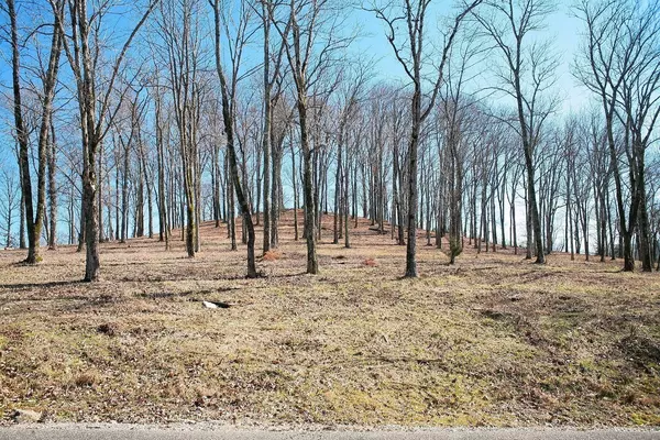 240 Wilson Circle, Smithville, TN 37166