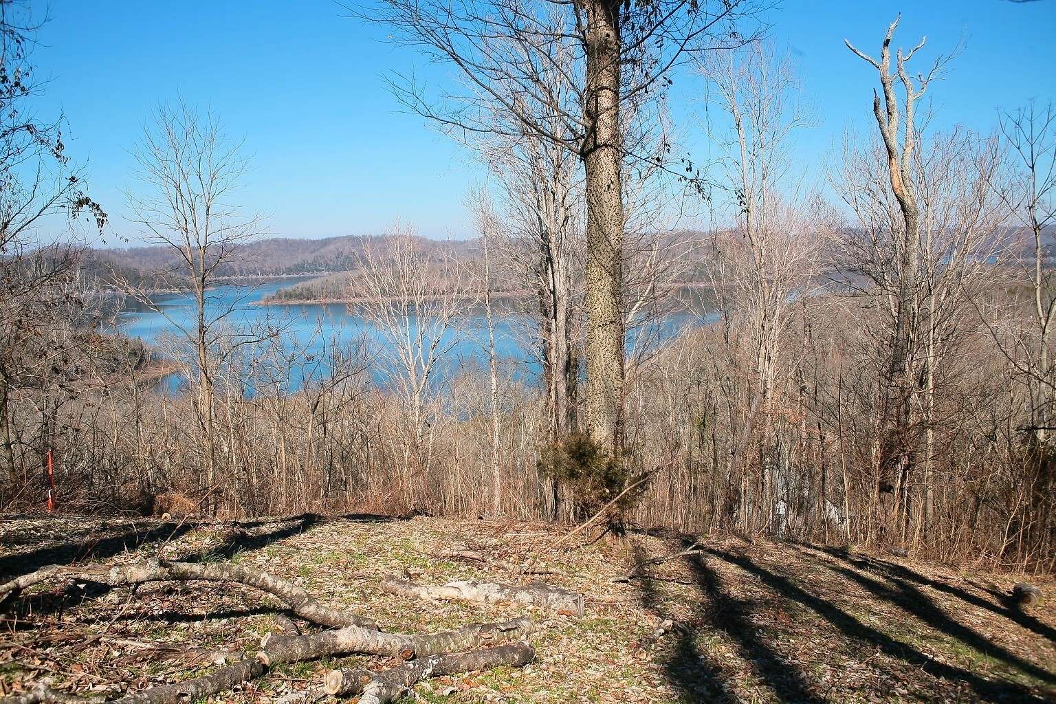 409 Maury Lane, Smithville, TN 37166