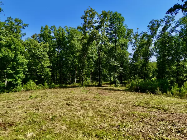 Waverly, TN 37185,0 Bear Creek Road