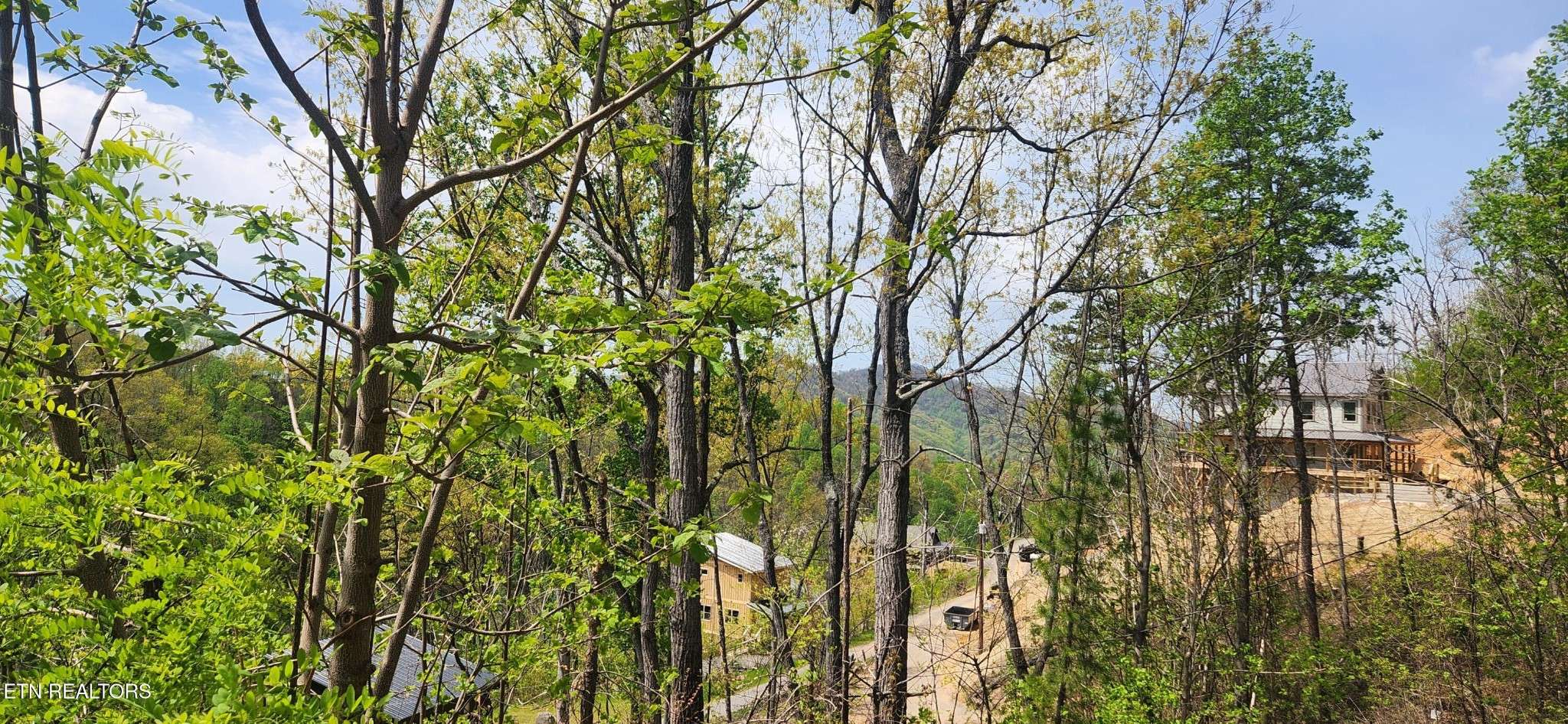 Sevierville, TN 37876,1516 Headrick Lead
