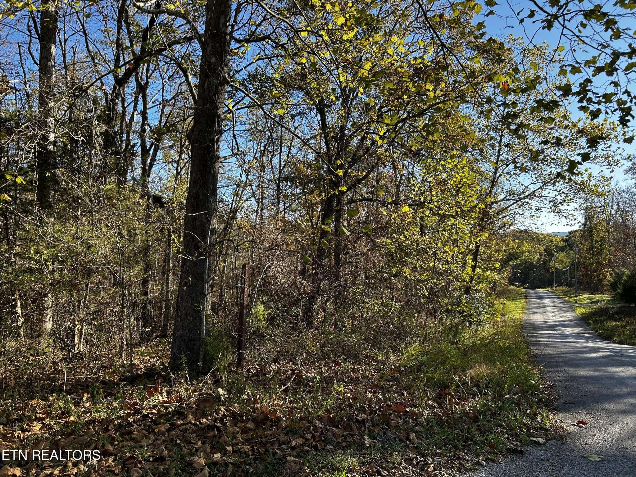 0 Timothy Drive, Crossville, TN 38572