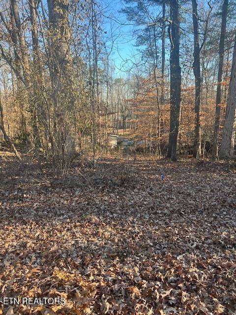 0 Beechwood Lane, Clinton, TN 37716