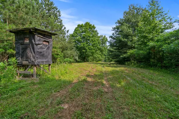 Mount Pleasant, TN 38474,0 Smith Hollow Road