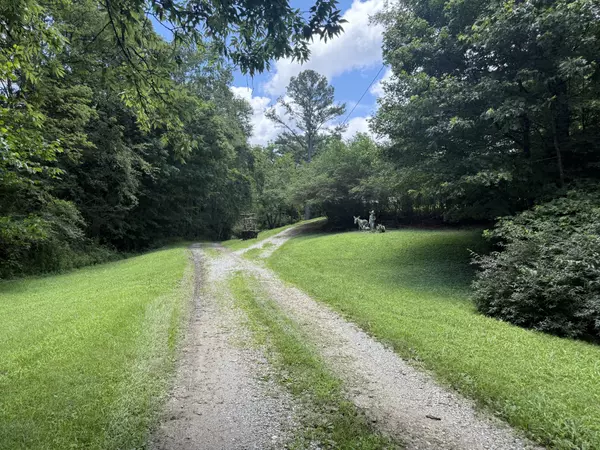 Big Sandy, TN 38221,35 Faxon Ln