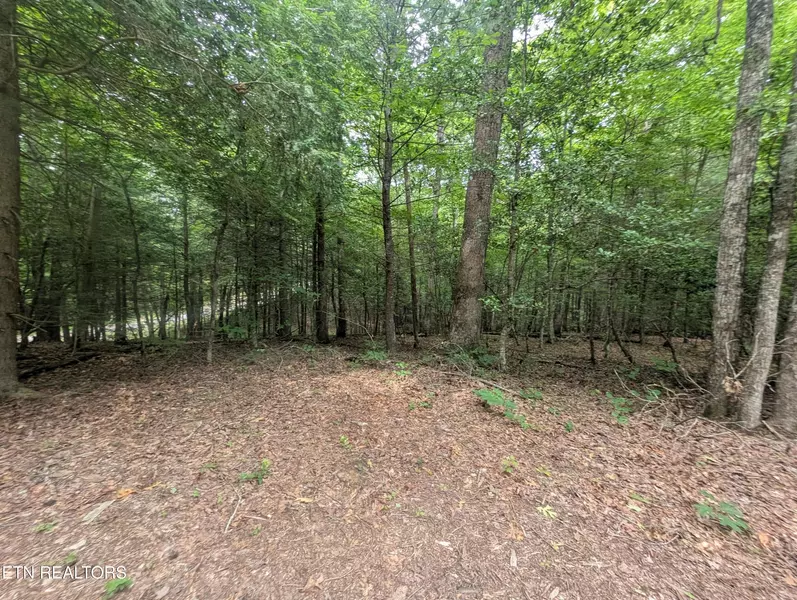 0 Model Farm Rd, Jamestown, TN 38556