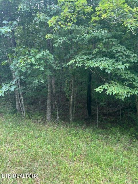 Monterey, TN 38574,0 Poston Drive