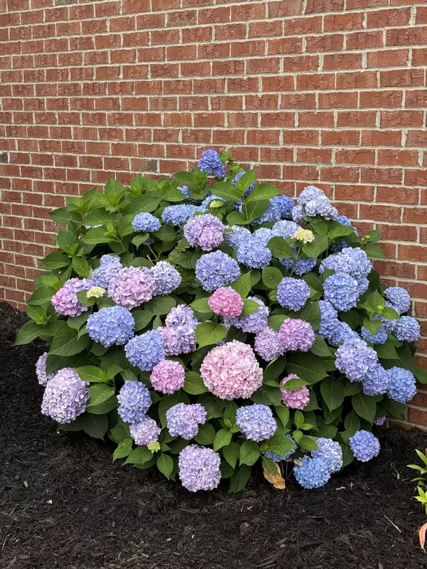 Hendersonville, TN 37075,104 Camden Ct #N