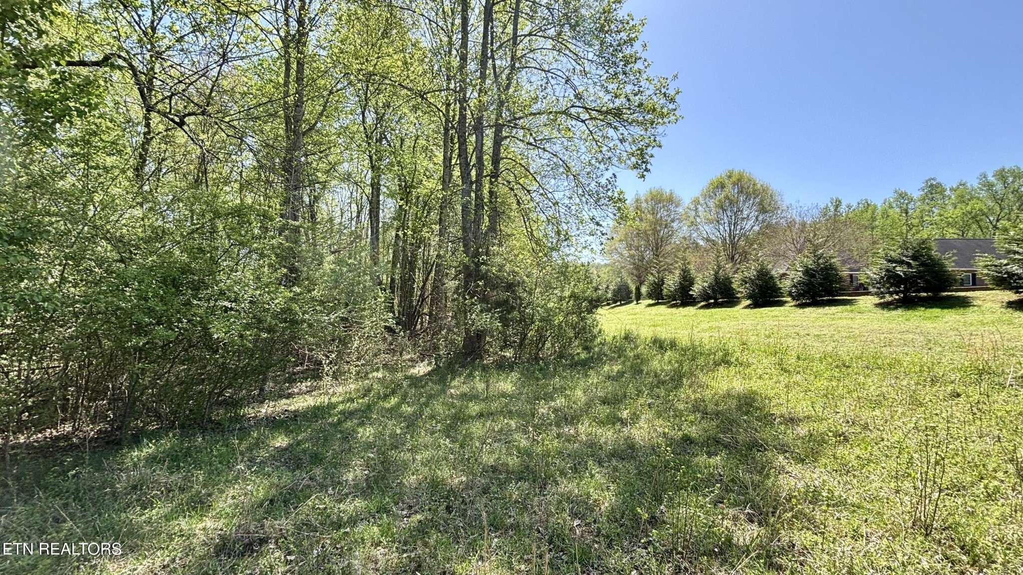 Harriman, TN 37748,31 Indigo Bunting Drive