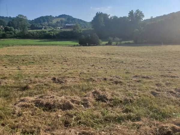 Brush Creek, TN 38547,0 Wilkerson Hollow Ln