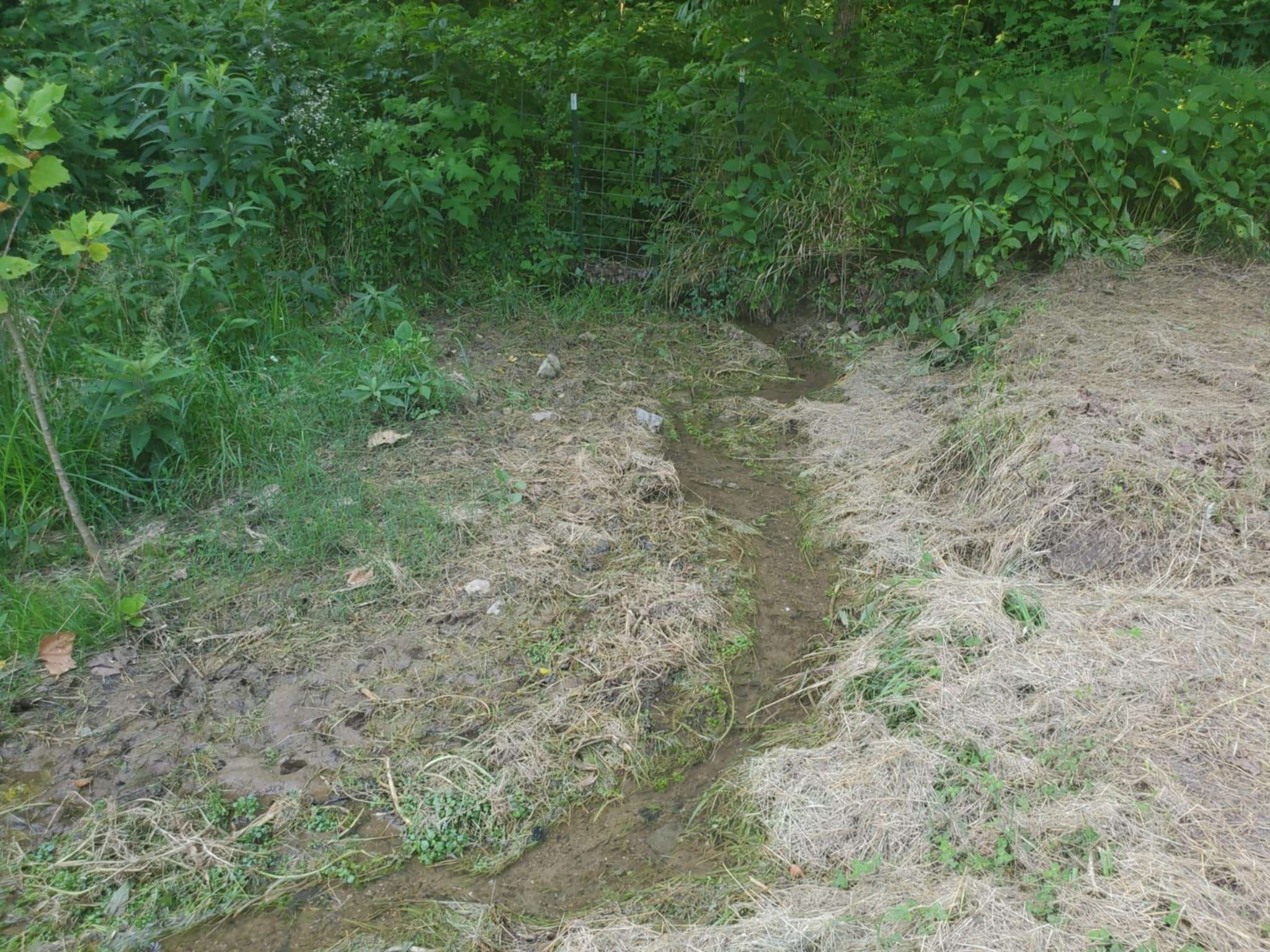 Brush Creek, TN 38547,0 Wilkerson Hollow Ln