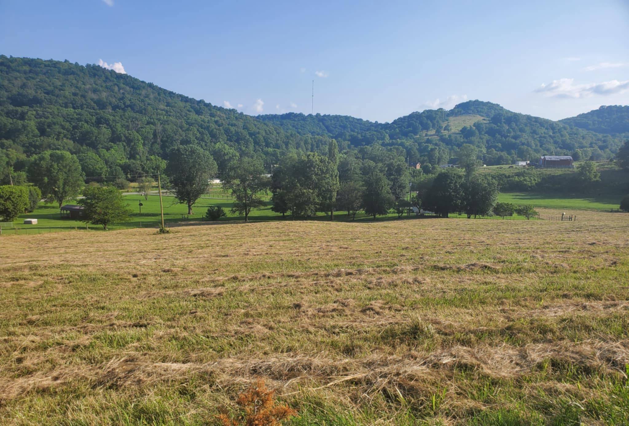 0 Wilkerson Hollow Ln, Brush Creek, TN 38547