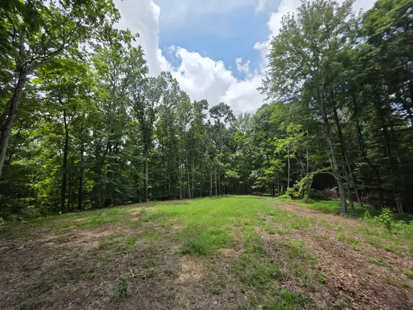 Cunningham, TN 37052,0 Baggett Hollow