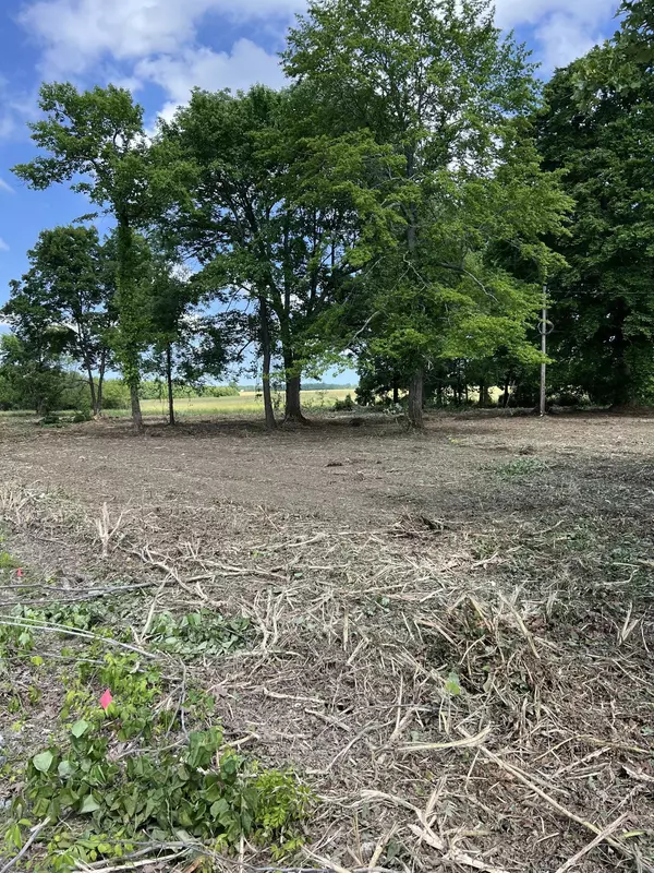 Springfield, TN 37172,0 HWY 161