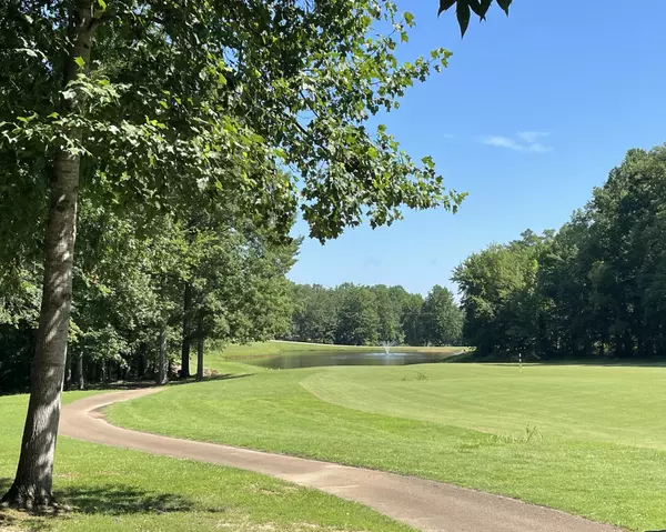 Counce, TN 38326,310 Ping Hill Cv