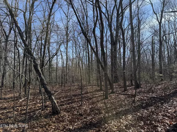 Monterey, TN 38574,0 Sycamore Bend