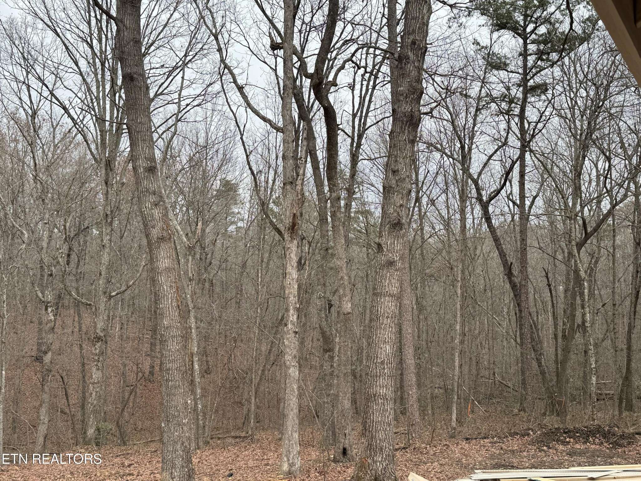 Monterey, TN 38574,334 Cumberland Cove Rd