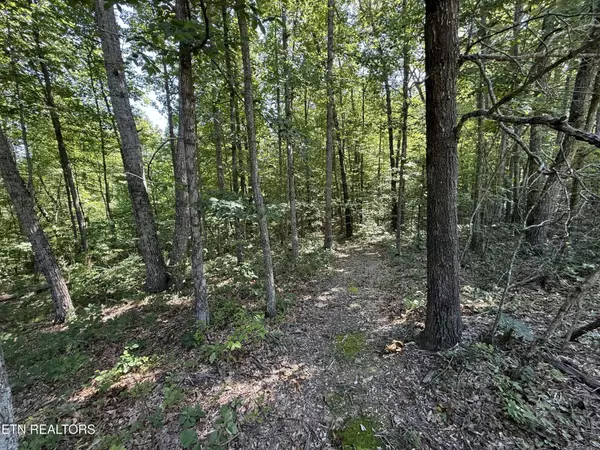 Monterey, TN 38574,0 Little Place