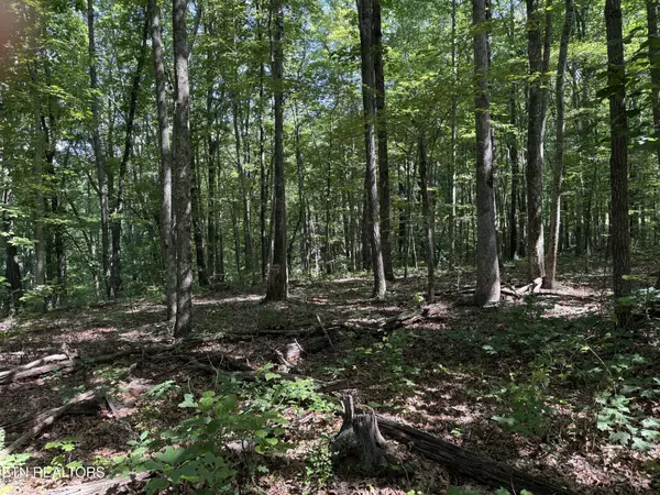 Monterey, TN 38574,0 Little Place