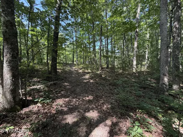 Monterey, TN 38574,0 Little Place