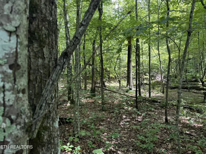 0 Icy Cove Tr, Monterey, TN 38574
