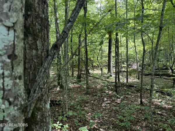 0 Icy Cove Tr, Monterey, TN 38574