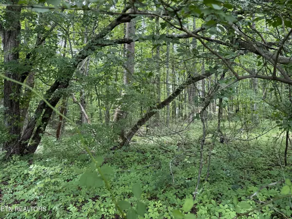 0 Lollar Drive, Monterey, TN 38574