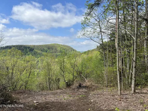 Monterey, TN 38574,1247 Wind Rush Way