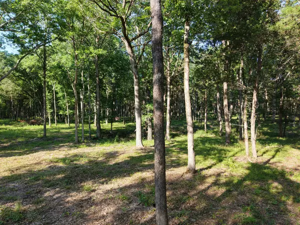 Christiana, TN 37037,0 Millersburg Rd