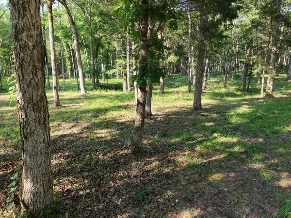 Christiana, TN 37037,0 Millersburg Rd