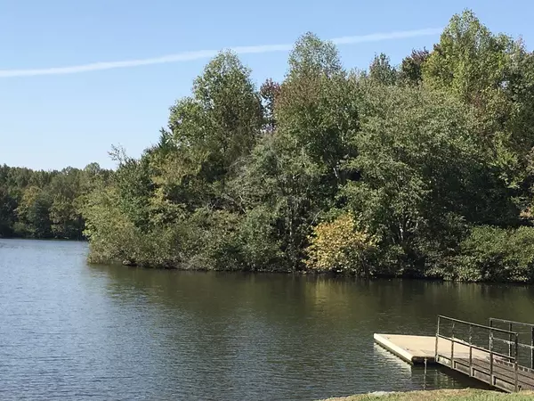 Lebanon, TN 37087,146 Angels Cove Ln