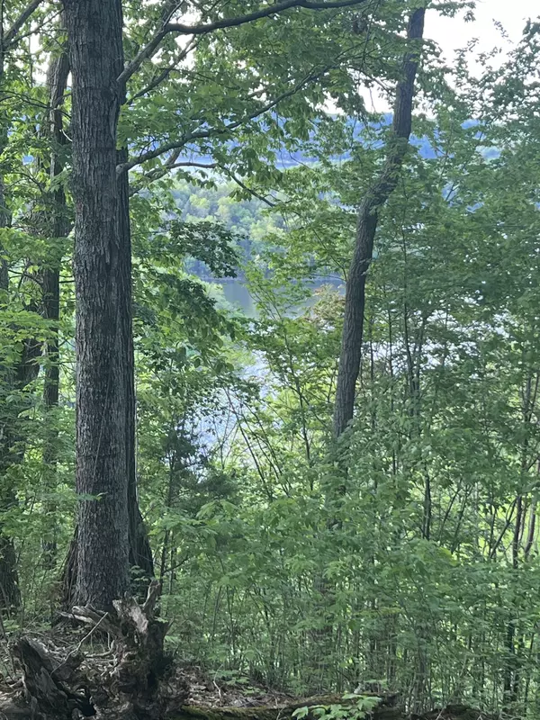 Smithville, TN 37166,0 Williamson Circle