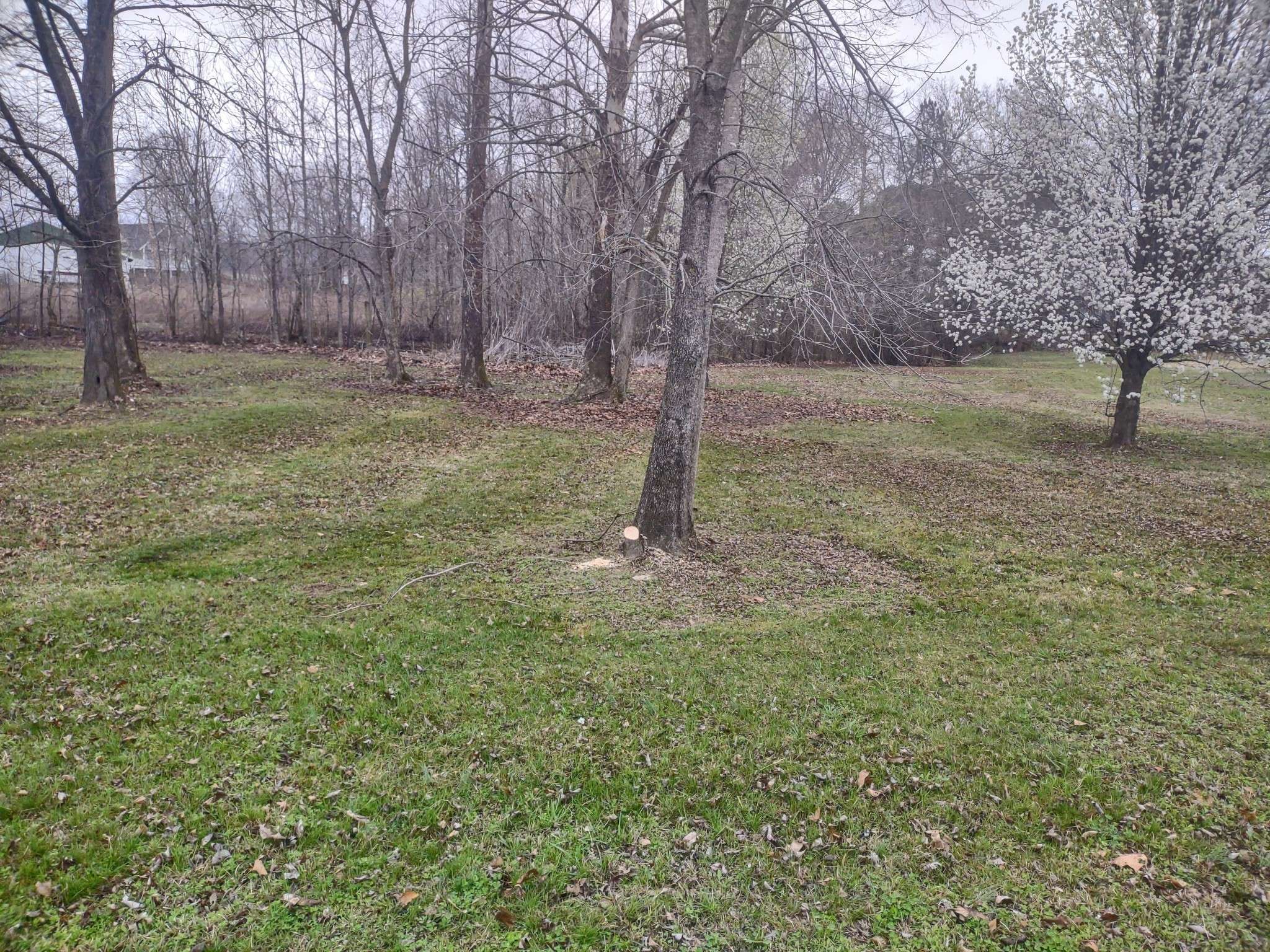Decaturville, TN 38329,111 Lakeside Ln