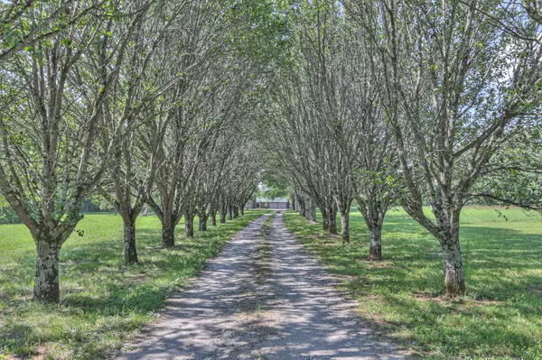 Lebanon, TN 37090,640 Vesta Rd