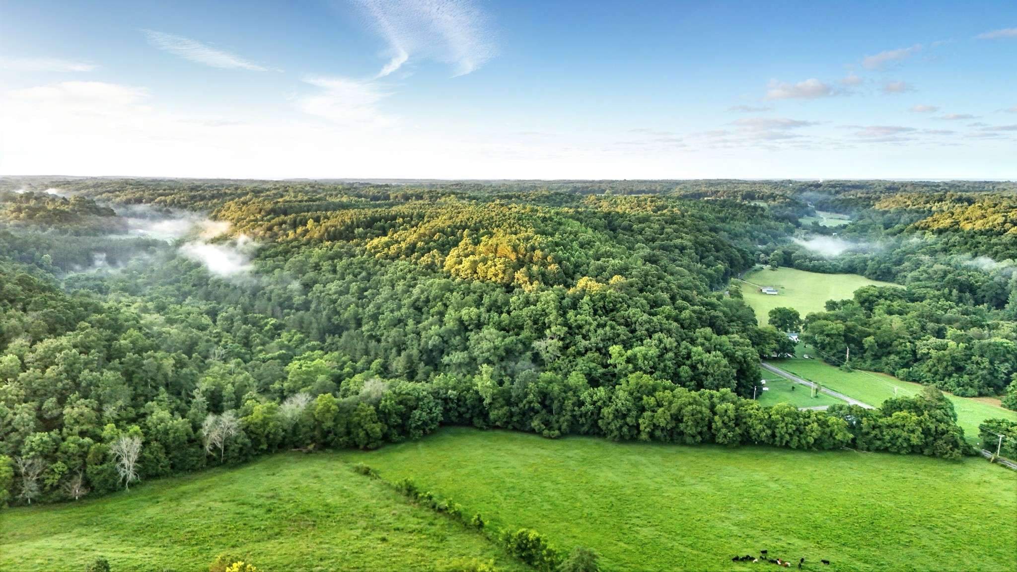 0 West Hollow Rd, Goodspring, TN 38460