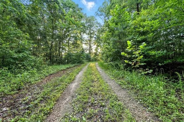 Goodspring, TN 38460,0 West Hollow Rd