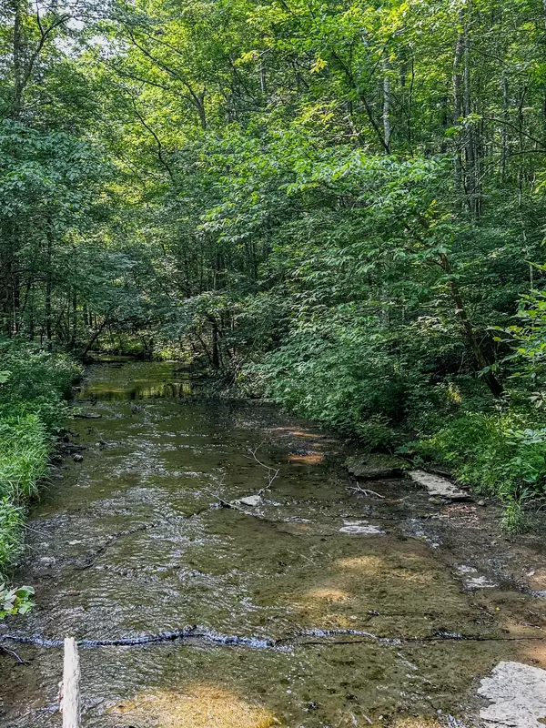 Hampshire, TN 38461,0 Catheys Creek Road