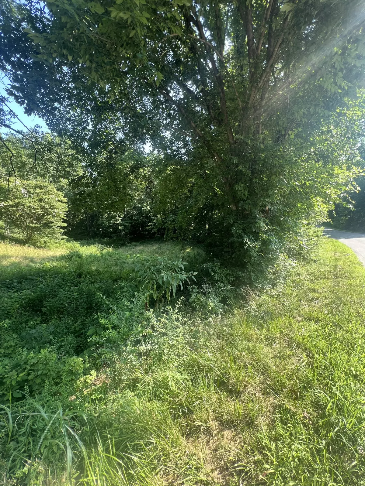 Ashland City, TN 37015,0 Annette Dr