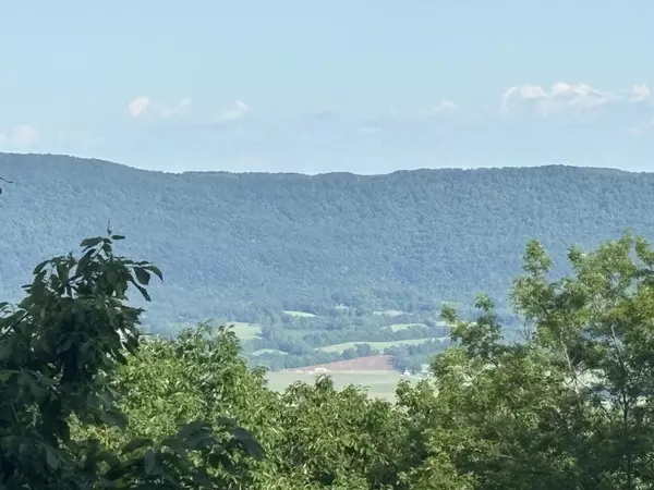 Pikeville, TN 37367,1355 Gray Rock Vw