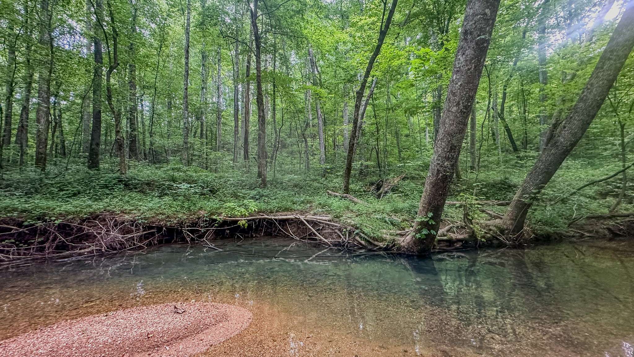 Holladay, TN 38341,0 Birdsong Road