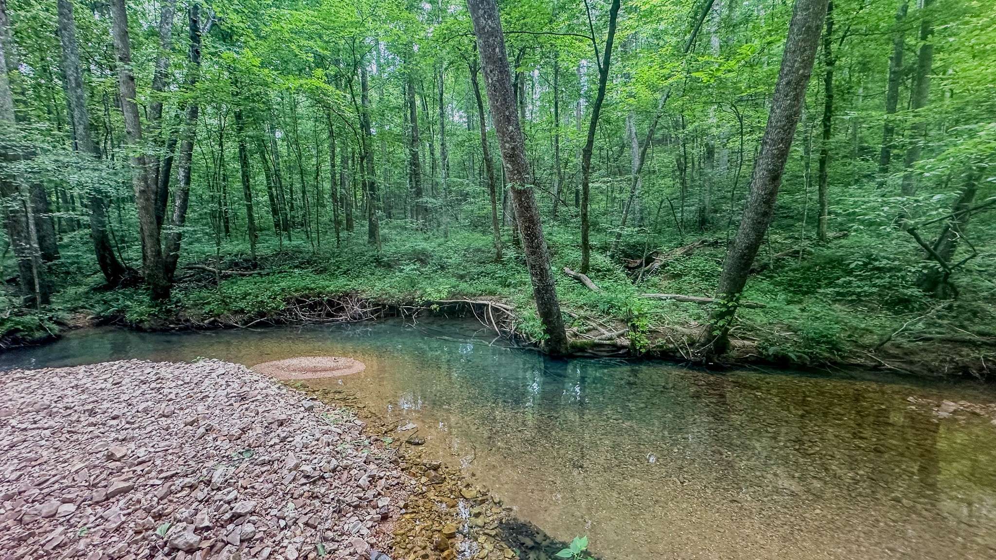 Holladay, TN 38341,0 Birdsong Road