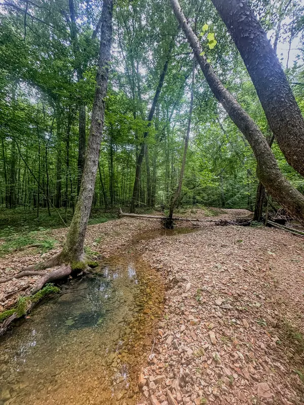 Holladay, TN 38341,0 Birdsong Road